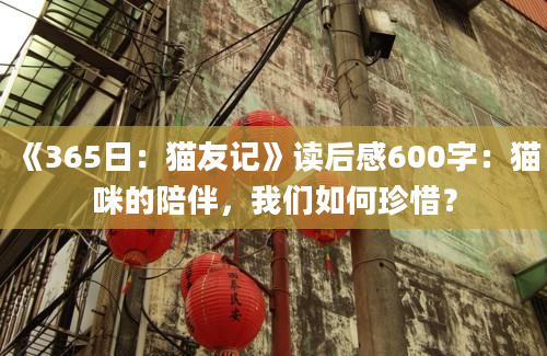 《365日：猫友记》读后感600字：猫咪的陪伴，我们如何珍惜？