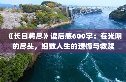 《长日将尽》读后感600字：在光阴的尽头，细数人生的遗憾与救赎