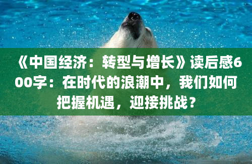 《中国经济：转型与增长》读后感600字：在时代的浪潮中，我们如何把握机遇，迎接挑战？