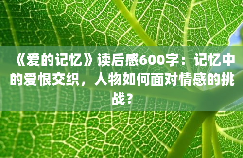 《爱的记忆》读后感600字：记忆中的爱恨交织，人物如何面对情感的挑战？