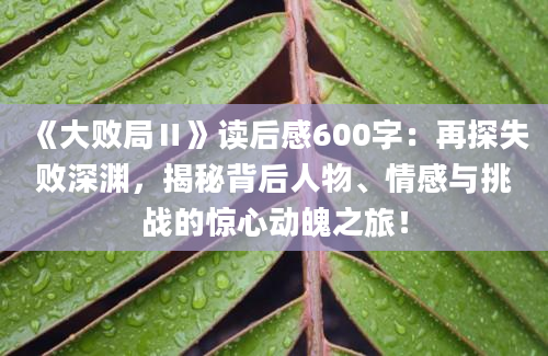 《大败局Ⅱ》读后感600字：再探失败深渊，揭秘背后人物、情感与挑战的惊心动魄之旅！