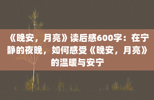 《晚安，月亮》读后感600字：在宁静的夜晚，如何感受《晚安，月亮》的温暖与安宁