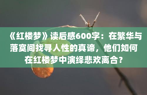 《红楼梦》读后感600字：在繁华与落寞间找寻人性的真谛，他们如何在红楼梦中演绎悲欢离合？