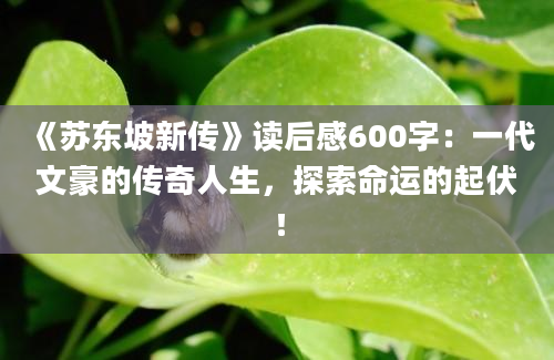 《苏东坡新传》读后感600字：一代文豪的传奇人生，探索命运的起伏！