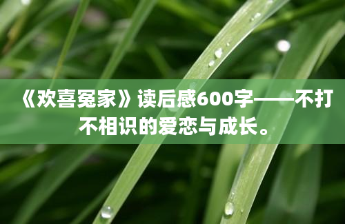 《欢喜冤家》读后感600字——不打不相识的爱恋与成长。