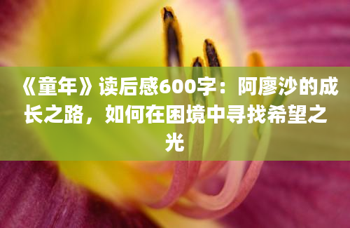 《童年》读后感600字：阿廖沙的成长之路，如何在困境中寻找希望之光