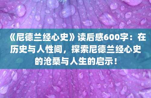 《尼德兰经心史》读后感600字：在历史与人性间，探索尼德兰经心史的沧桑与人生的启示！