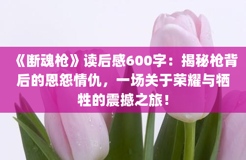 《断魂枪》读后感600字：揭秘枪背后的恩怨情仇，一场关于荣耀与牺牲的震撼之旅！