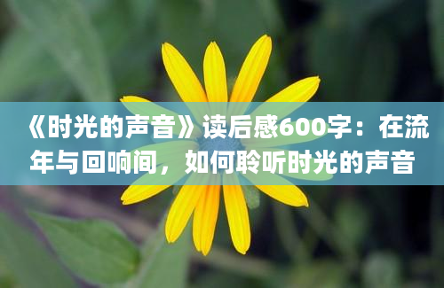 《时光的声音》读后感600字：在流年与回响间，如何聆听时光的声音