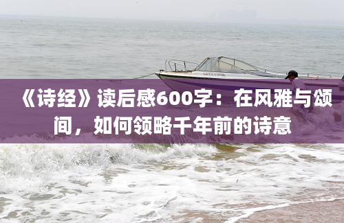 《诗经》读后感600字：在风雅与颂间，如何领略千年前的诗意