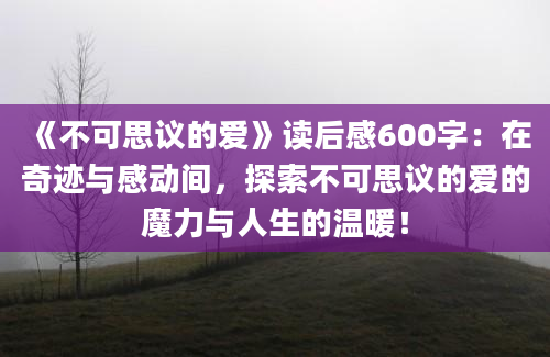 《不可思议的爱》读后感600字：在奇迹与感动间，探索不可思议的爱的魔力与人生的温暖！