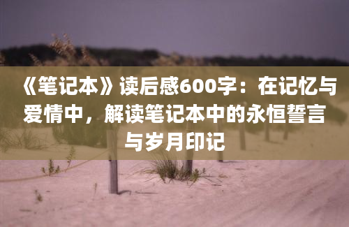 《笔记本》读后感600字：在记忆与爱情中，解读笔记本中的永恒誓言与岁月印记