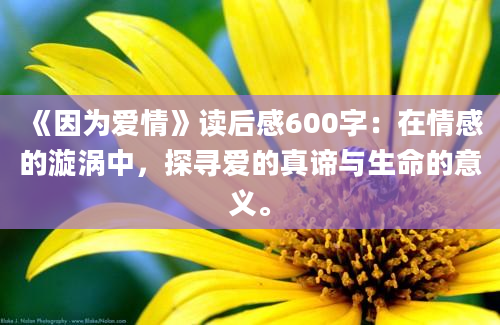 《因为爱情》读后感600字：在情感的漩涡中，探寻爱的真谛与生命的意义。