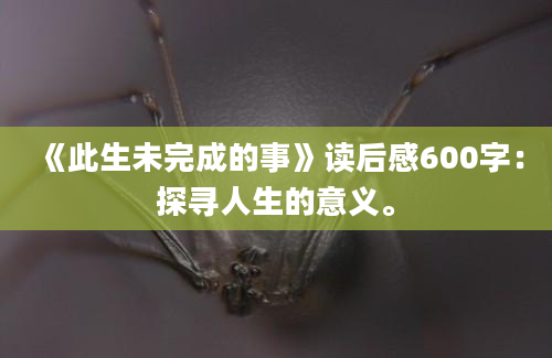 《此生未完成的事》读后感600字：探寻人生的意义。