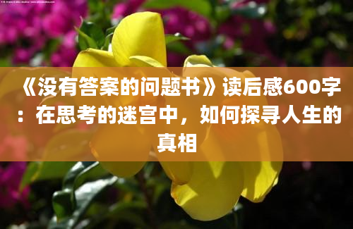 《没有答案的问题书》<a href=https://www.baixuetang.com target=_blank class=infotextkey>读后感</a>600字：在思考的迷宫中，如何探寻人生的真相