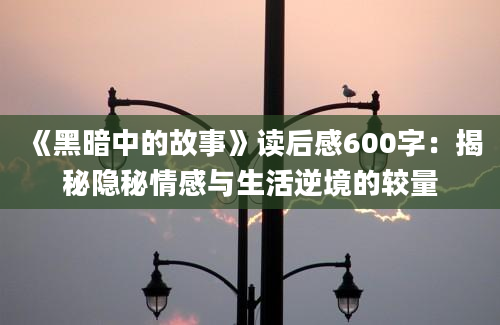 《黑暗中的故事》读后感600字：揭秘隐秘情感与生活逆境的较量