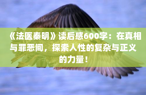 《法医秦明》读后感600字：在真相与罪恶间，探索人性的复杂与正义的力量！