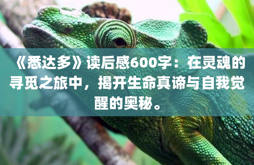 《悉达多》读后感600字：在灵魂的寻觅之旅中，揭开生命真谛与自我觉醒的奥秘。