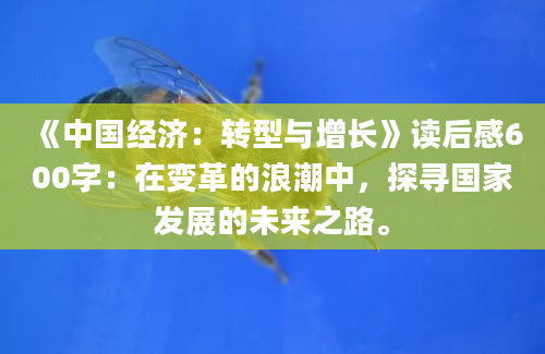 《中国经济：转型与增长》读后感600字：在变革的浪潮中，探寻国家发展的未来之路。