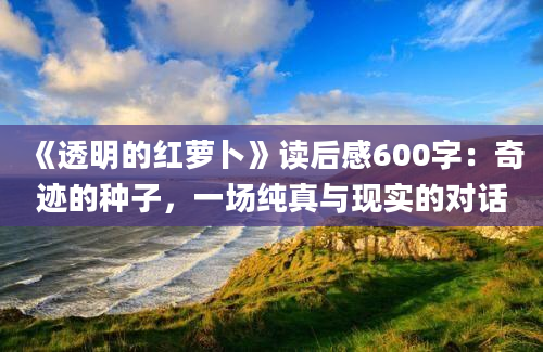 《透明的红萝卜》读后感600字：奇迹的种子，一场纯真与现实的对话