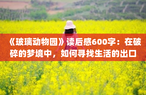 《玻璃动物园》读后感600字：在破碎的梦境中，如何寻找生活的出口