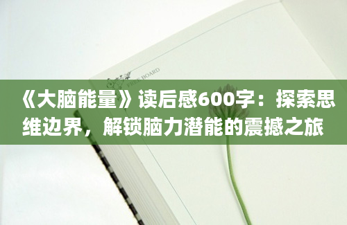 《大脑能量》读后感600字：探索思维边界，解锁脑力潜能的震撼之旅