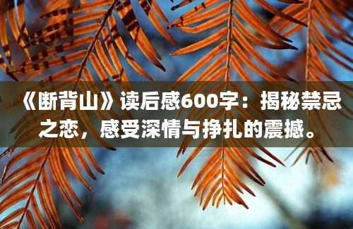 《断背山》读后感600字：揭秘禁忌之恋，感受深情与挣扎的震撼。