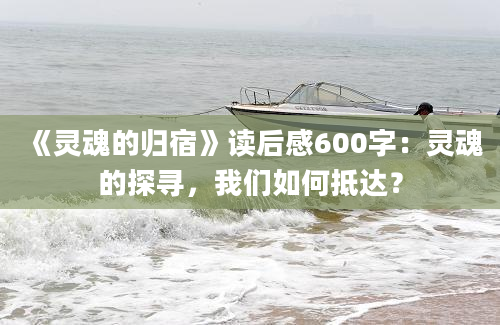 《灵魂的归宿》读后感600字：灵魂的探寻，我们如何抵达？