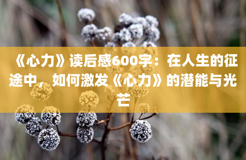 《心力》读后感600字：在人生的征途中，如何激发《心力》的潜能与光芒