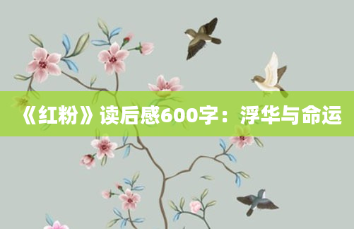 《红粉》读后感600字：浮华与命运