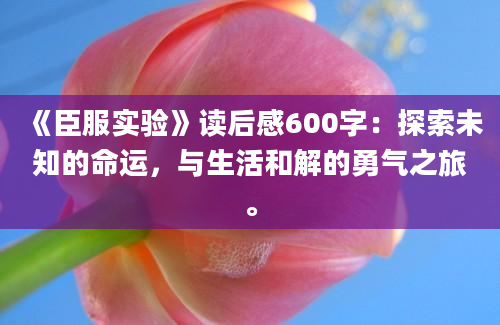 《臣服实验》读后感600字：探索未知的命运，与生活和解的勇气之旅。