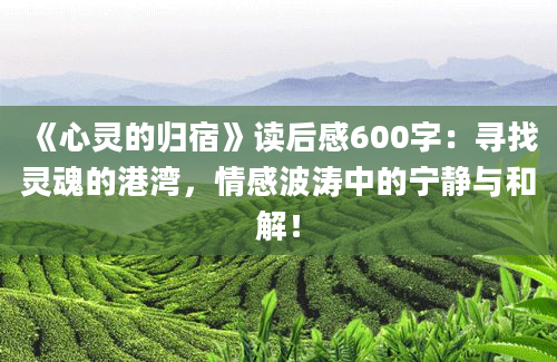 《心灵的归宿》读后感600字：寻找灵魂的港湾，情感波涛中的宁静与和解！