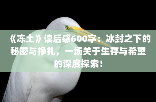 《冻土》读后感600字：冰封之下的秘密与挣扎，一场关于生存与希望的深度探索！