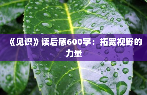 《见识》读后感600字：拓宽视野的力量