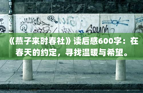 《燕子来时春社》读后感600字：在春天的约定，寻找温暖与希望。