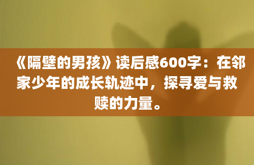 《隔壁的男孩》读后感600字：在邻家少年的成长轨迹中，探寻爱与救赎的力量。