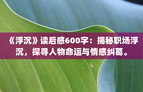 《浮沉》读后感600字：揭秘职场浮沉，探寻人物命运与情感纠葛。