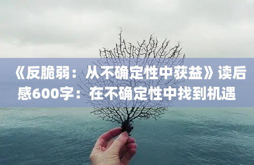 《反脆弱：从不确定性中获益》读后感600字：在不确定性中找到机遇