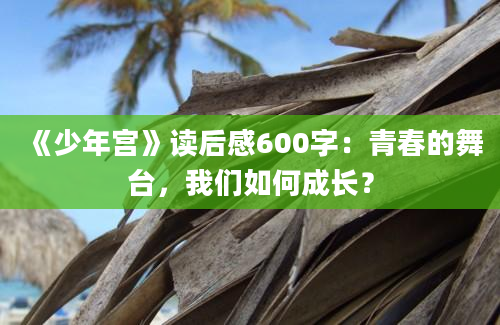 《少年宫》读后感600字：青春的舞台，我们如何成长？