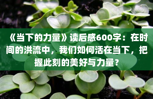 《当下的力量》读后感600字：在时间的洪流中，我们如何活在当下，把握此刻的美好与力量？