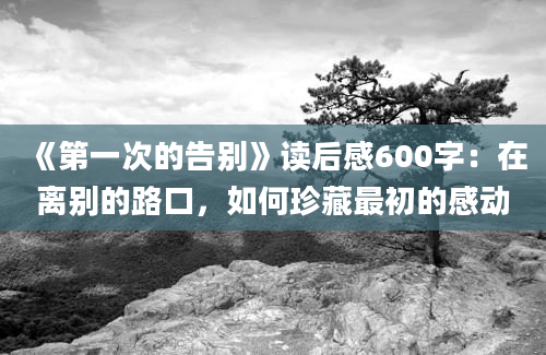 《第一次的告别》读后感600字：在离别的路口，如何珍藏最初的感动