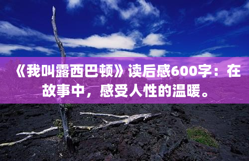 《我叫露西巴顿》读后感600字：在故事中，感受人性的温暖。