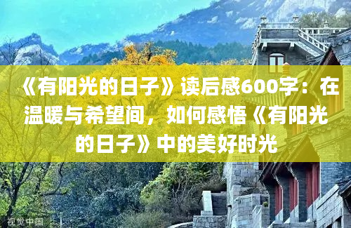 《有阳光的日子》读后感600字：在温暖与希望间，如何感悟《有阳光的日子》中的美好时光