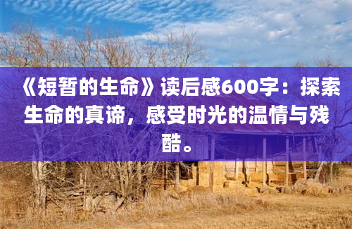 《短暂的生命》读后感600字：探索生命的真谛，感受时光的温情与残酷。