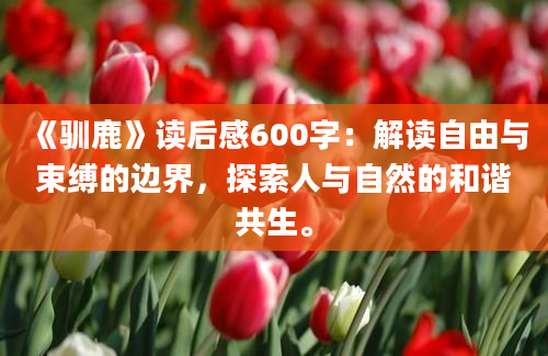 《驯鹿》读后感600字：解读自由与束缚的边界，探索人与自然的和谐共生。