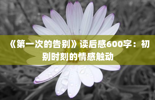 《第一次的告别》读后感600字：初别时刻的情感触动