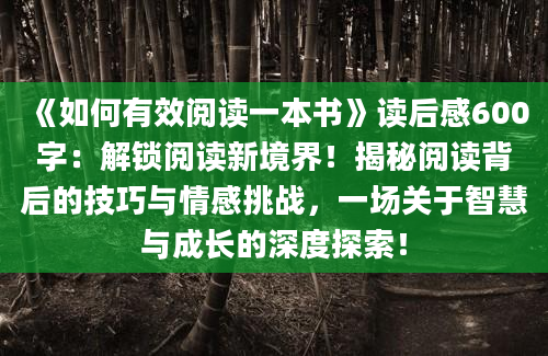 《如何有效阅读一本书》读后感600字：解锁阅读新境界！揭秘阅读背后的技巧与情感挑战，一场关于智慧与成长的深度探索！