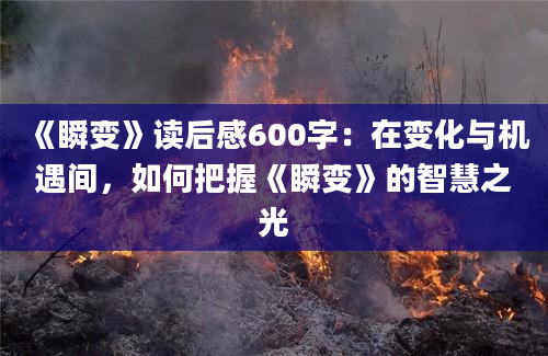 《瞬变》读后感600字：在变化与机遇间，如何把握《瞬变》的智慧之光