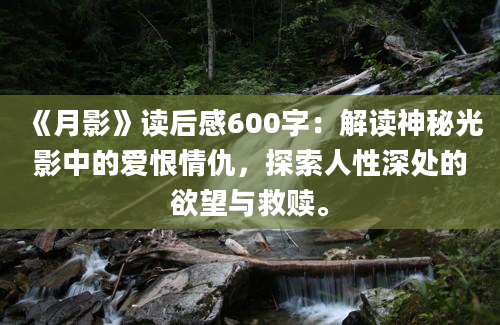 《月影》读后感600字：解读神秘光影中的爱恨情仇，探索人性深处的欲望与救赎。