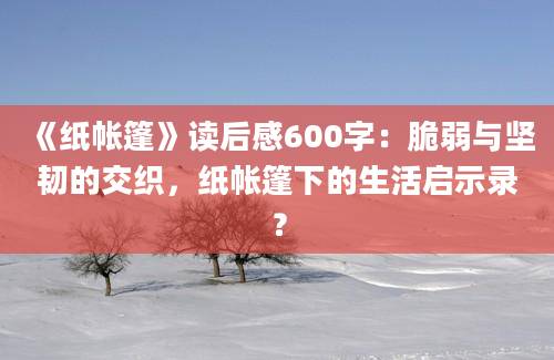 《纸帐篷》读后感600字：脆弱与坚韧的交织，纸帐篷下的生活启示录？